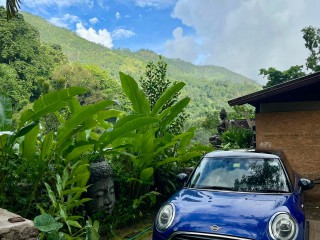 2019 Mini Cooper for sale in Kingston / St. Andrew, Jamaica